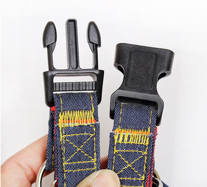 Leash & Harness