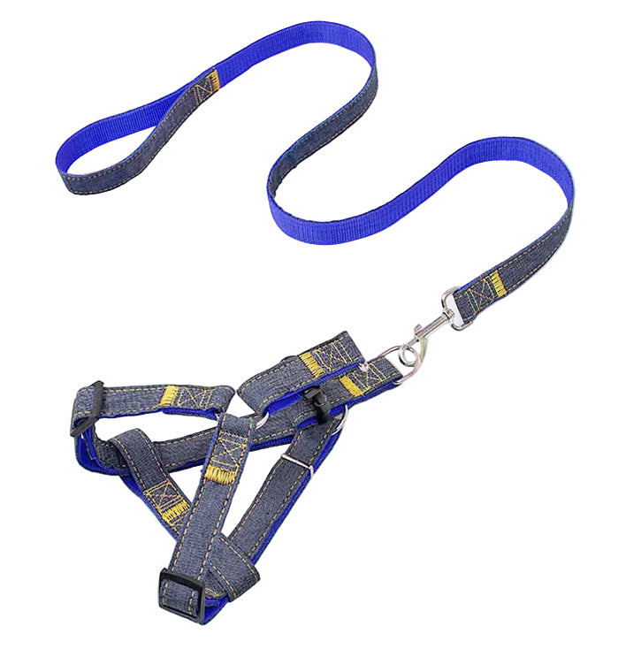 Leash & Harness