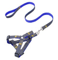 Leash & Harness