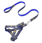 Leash & Harness