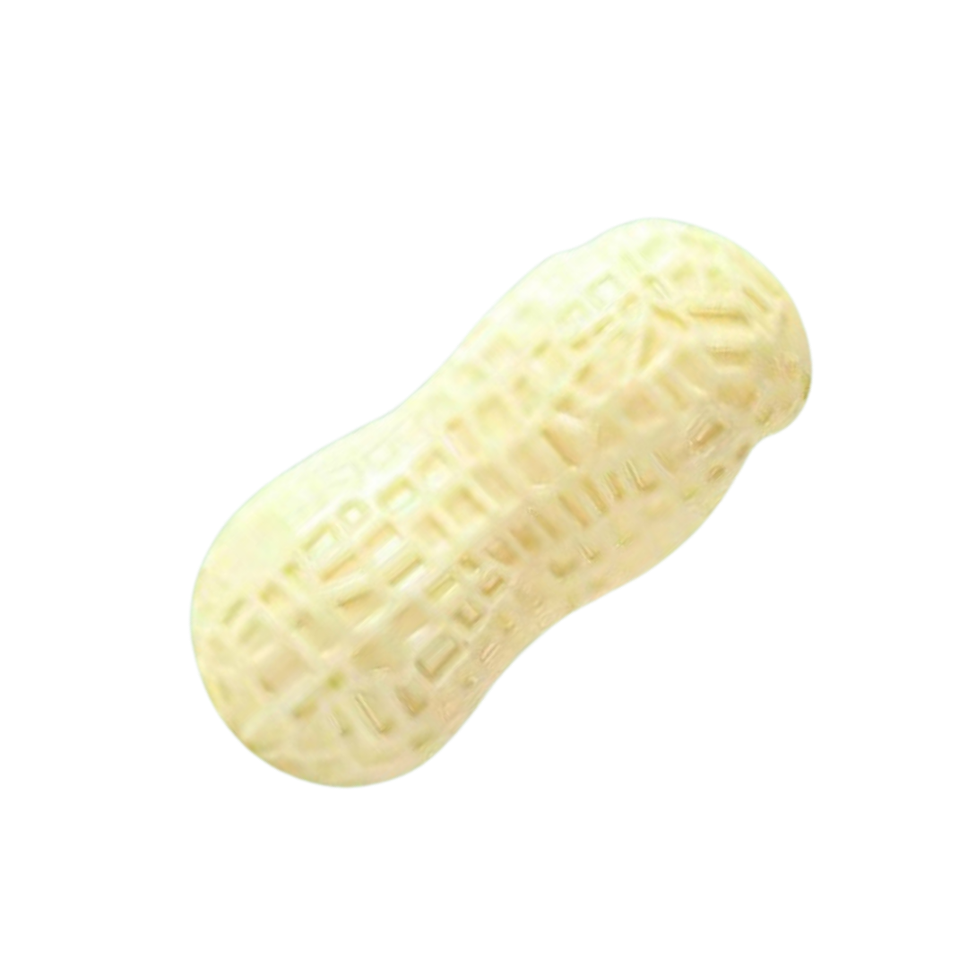 Squeaking Peanut Pet Toy