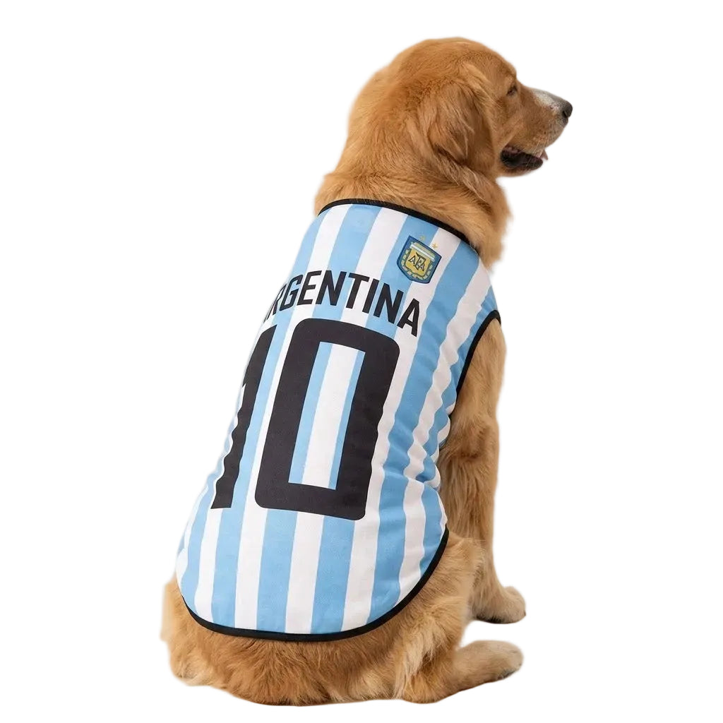 Argentina Jersey