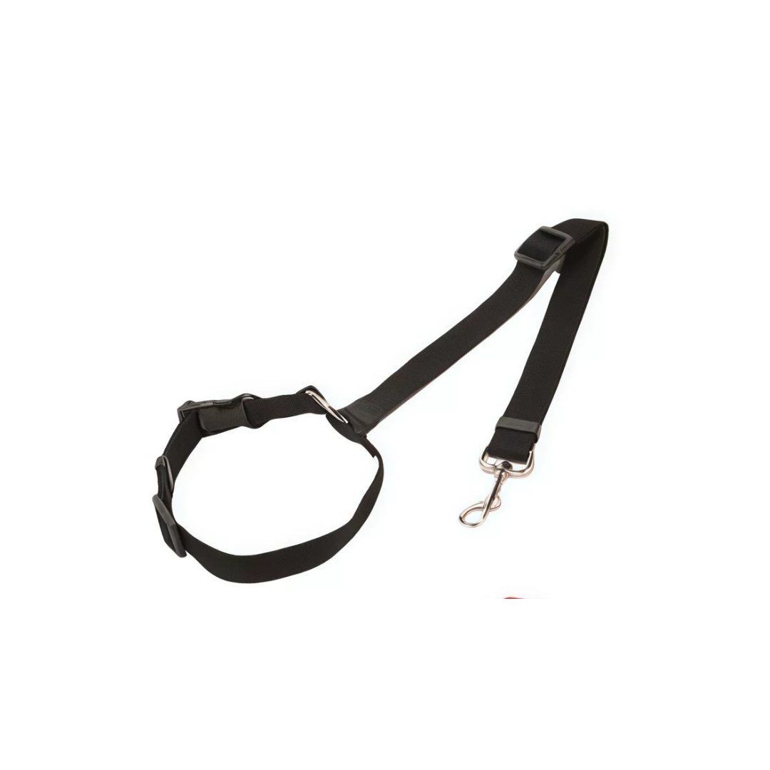 Car Seat Headrest Pet Leash
