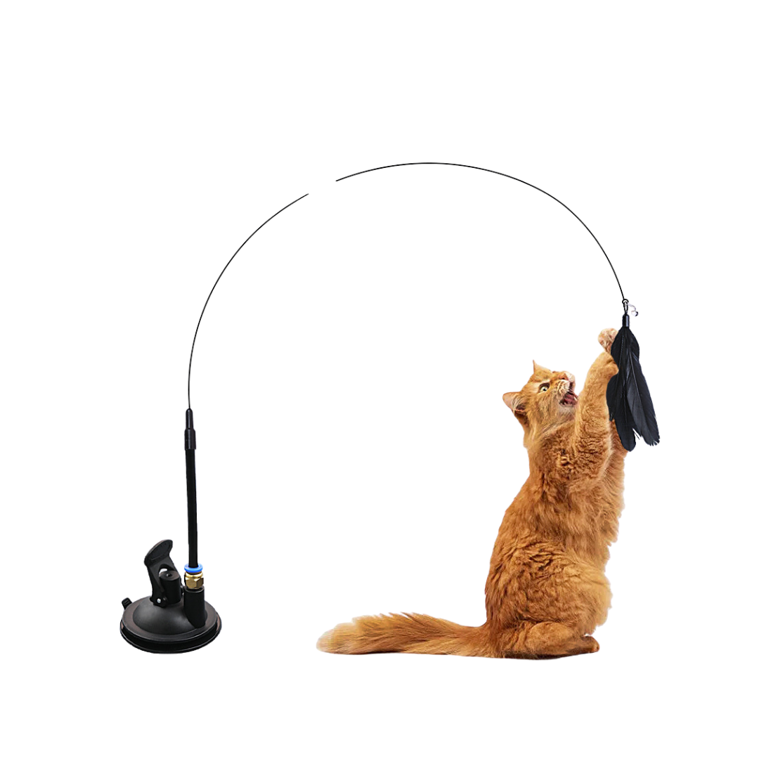 Interactive Hands-Free Feather Wand