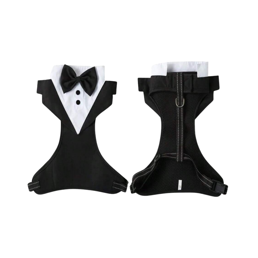 Gentleman’s Dog Wedding Costume / Party Suit