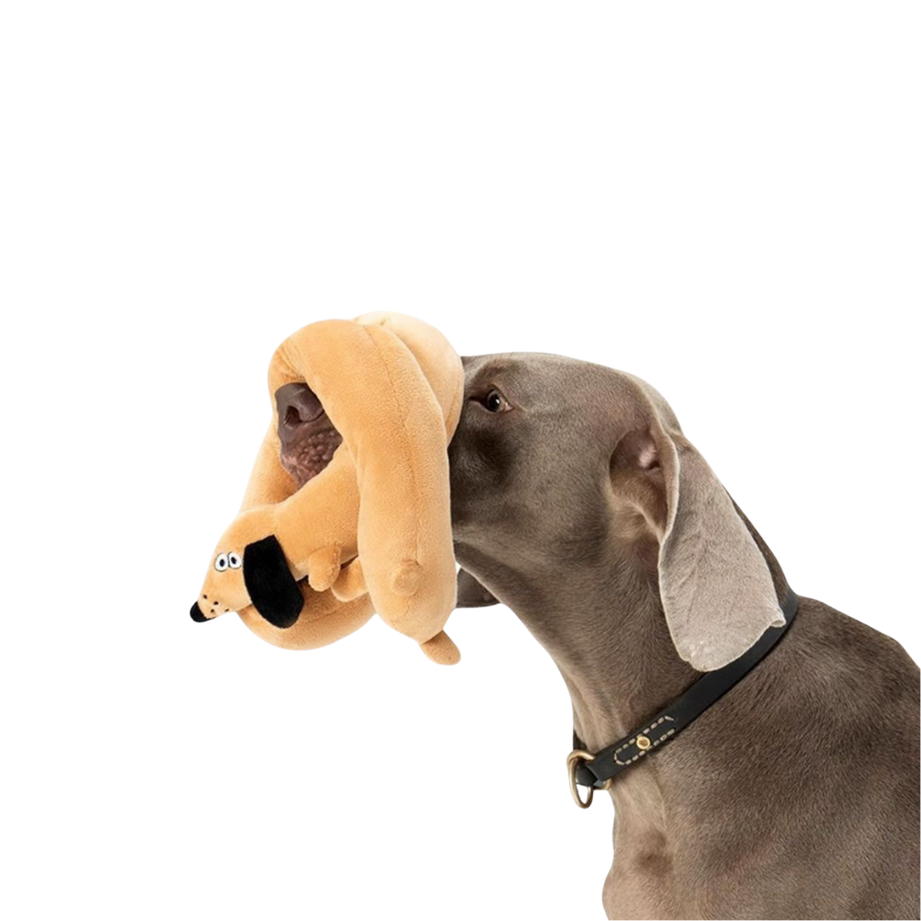 Long Dachshund Squeaky Plush Dog Toy