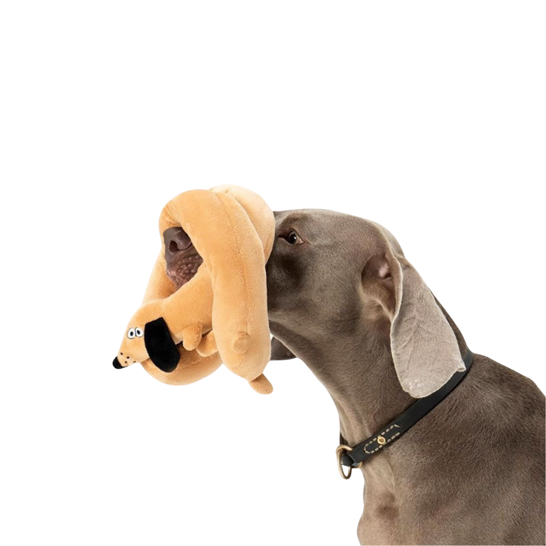 Long Dachshund Squeaky Plush Dog Toy