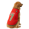 Portugal Jersey