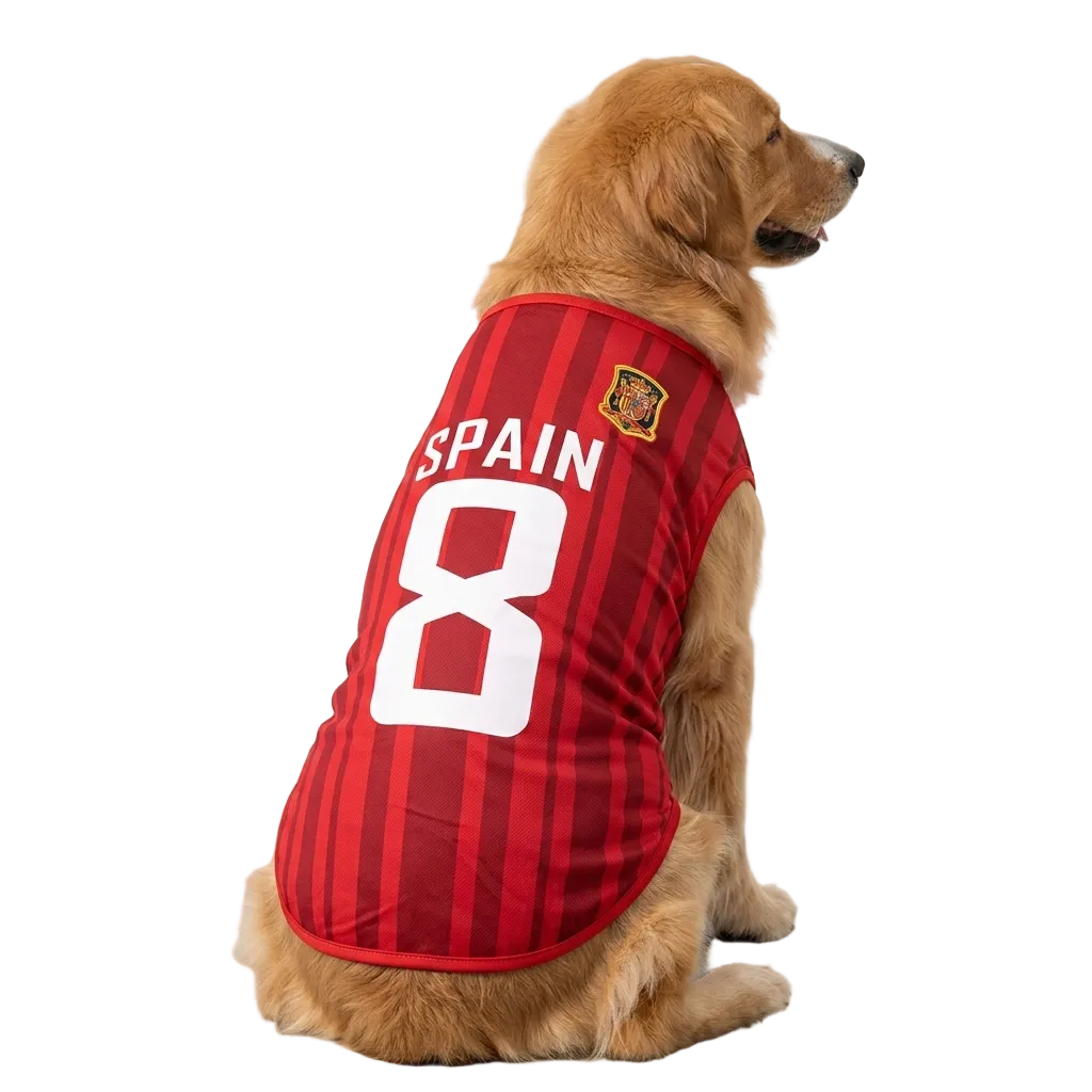 Spain Jersey