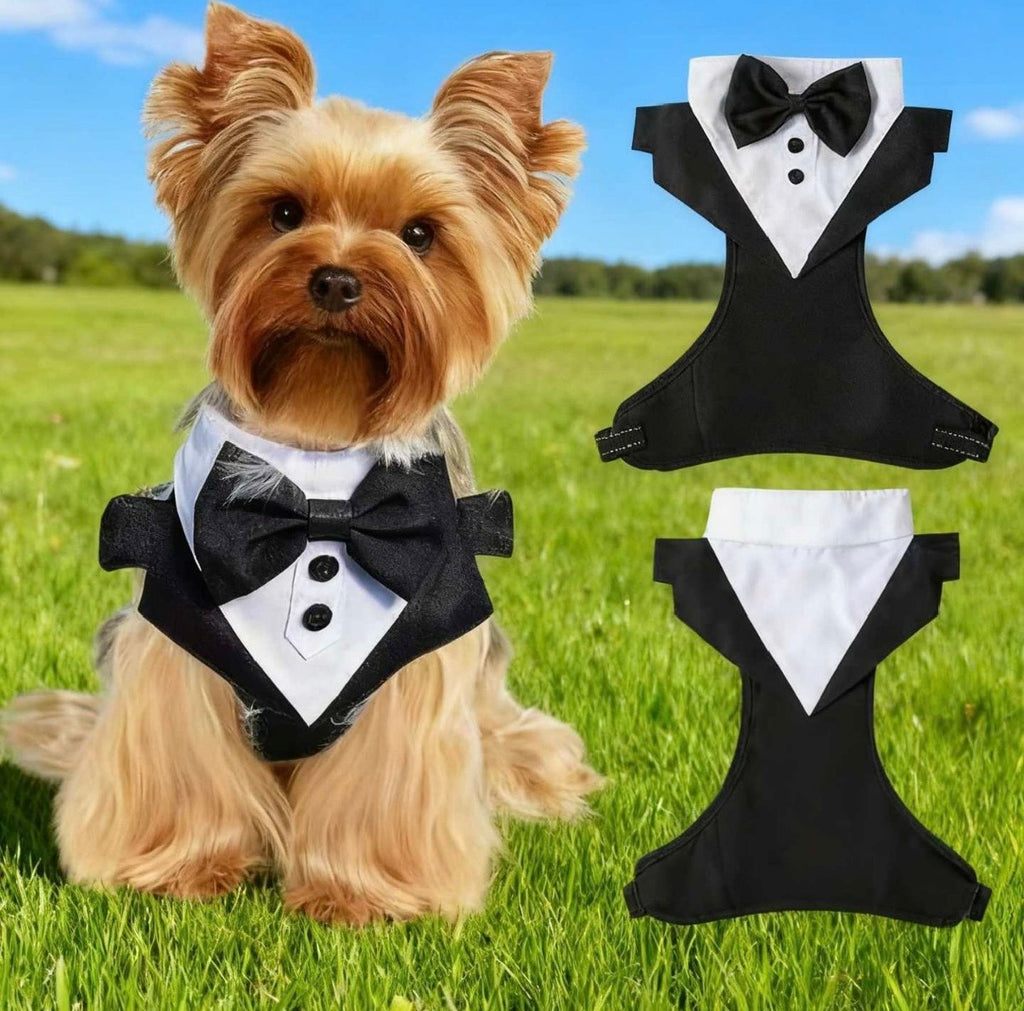 Wedding Suit