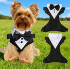 Wedding Suit