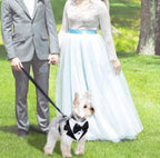 Wedding Suit
