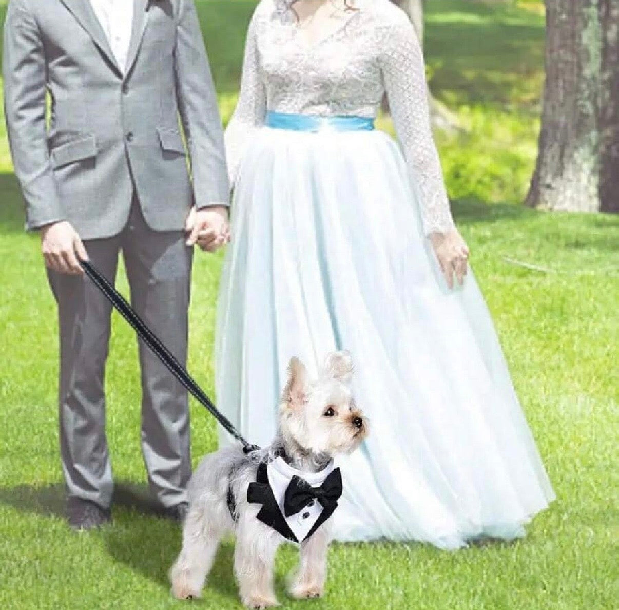 Wedding Suit