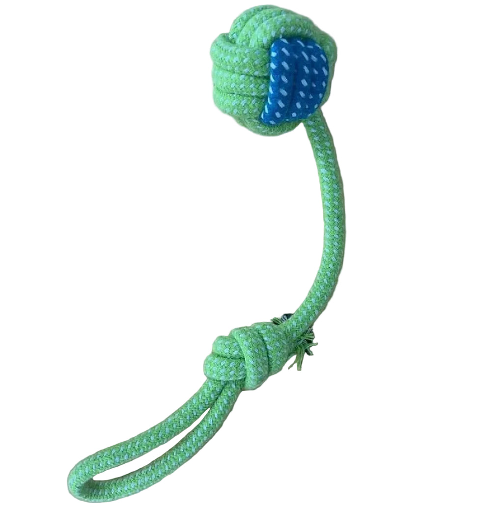 Bite-Resistant Toy