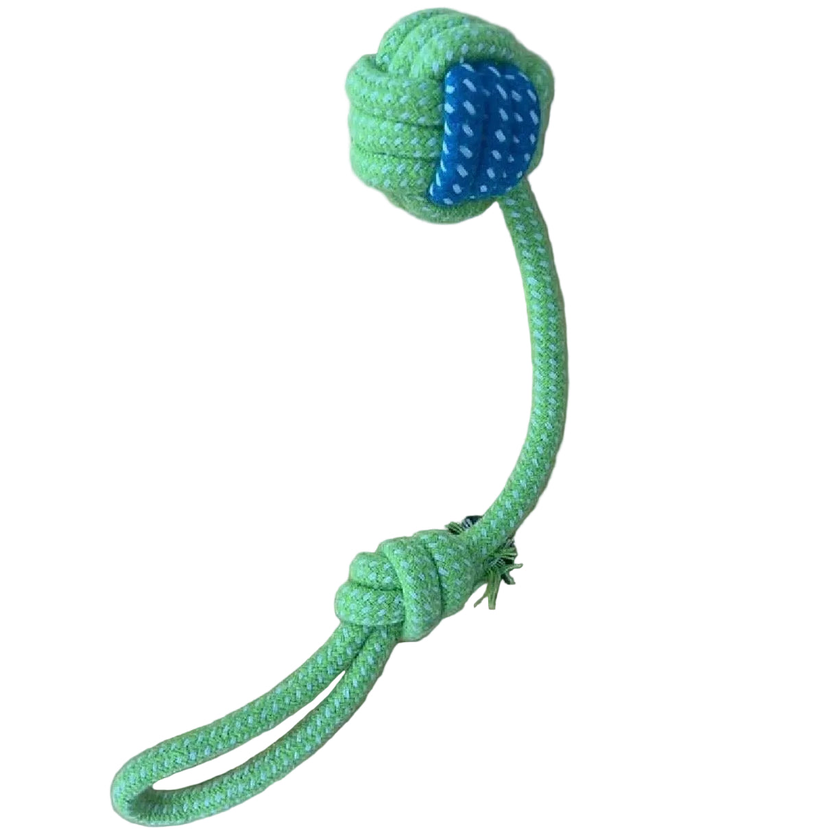 Bite-Resistant Toy
