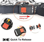 Pet Behavior Correction Collar