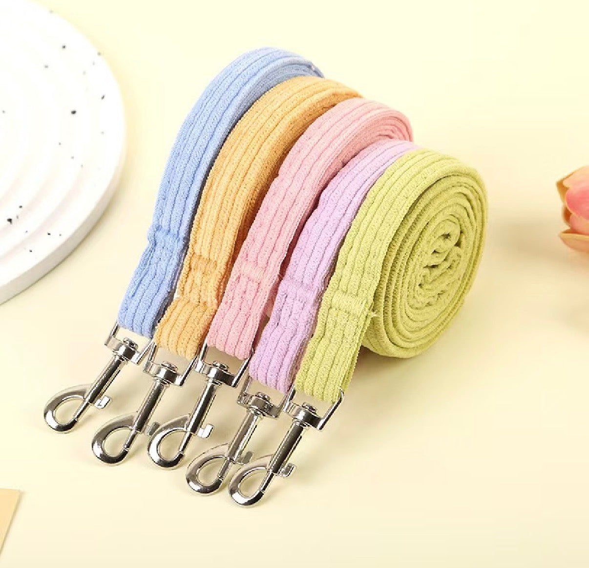 Bee Pet Collar & Leash