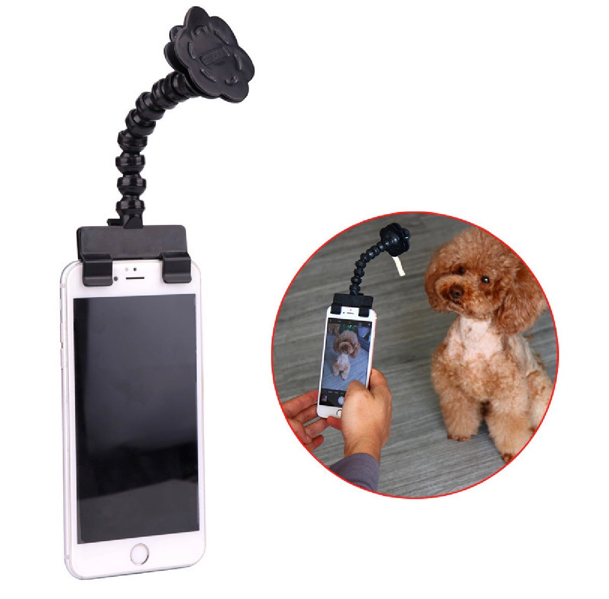 Pet Selfie Stick