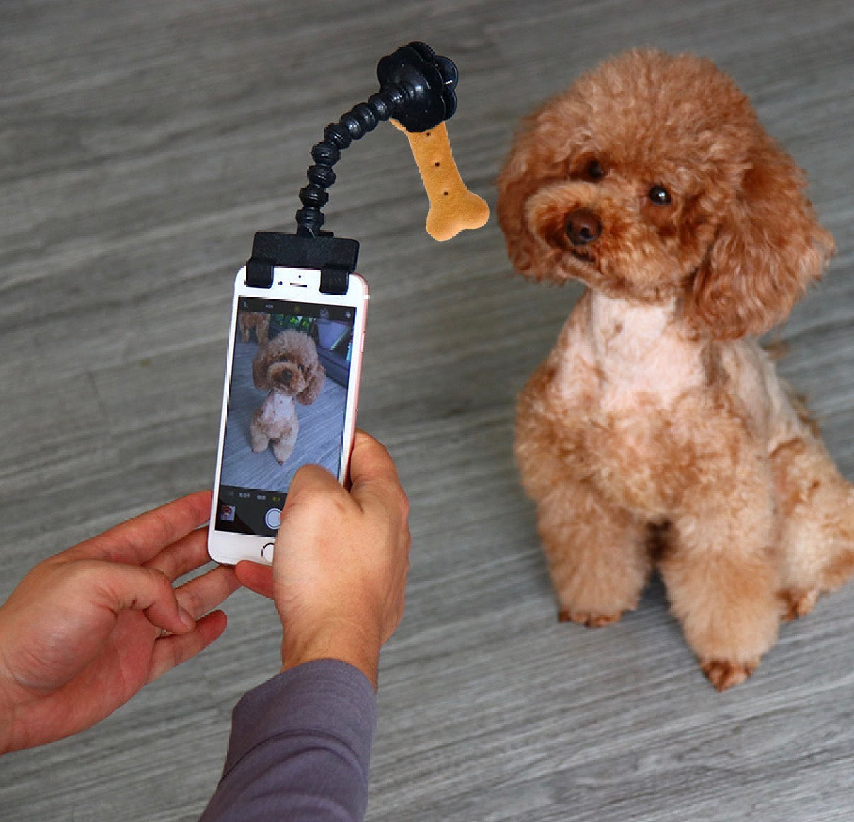 Pet Selfie Stick