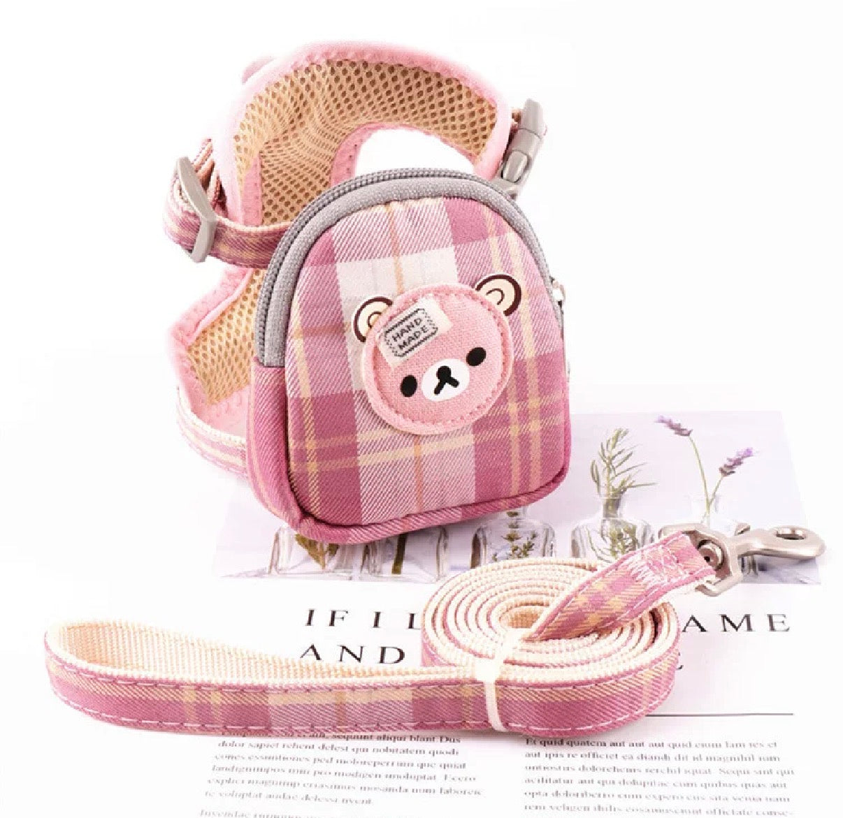 Cute Pet Leash & Harness