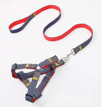Leash & Harness