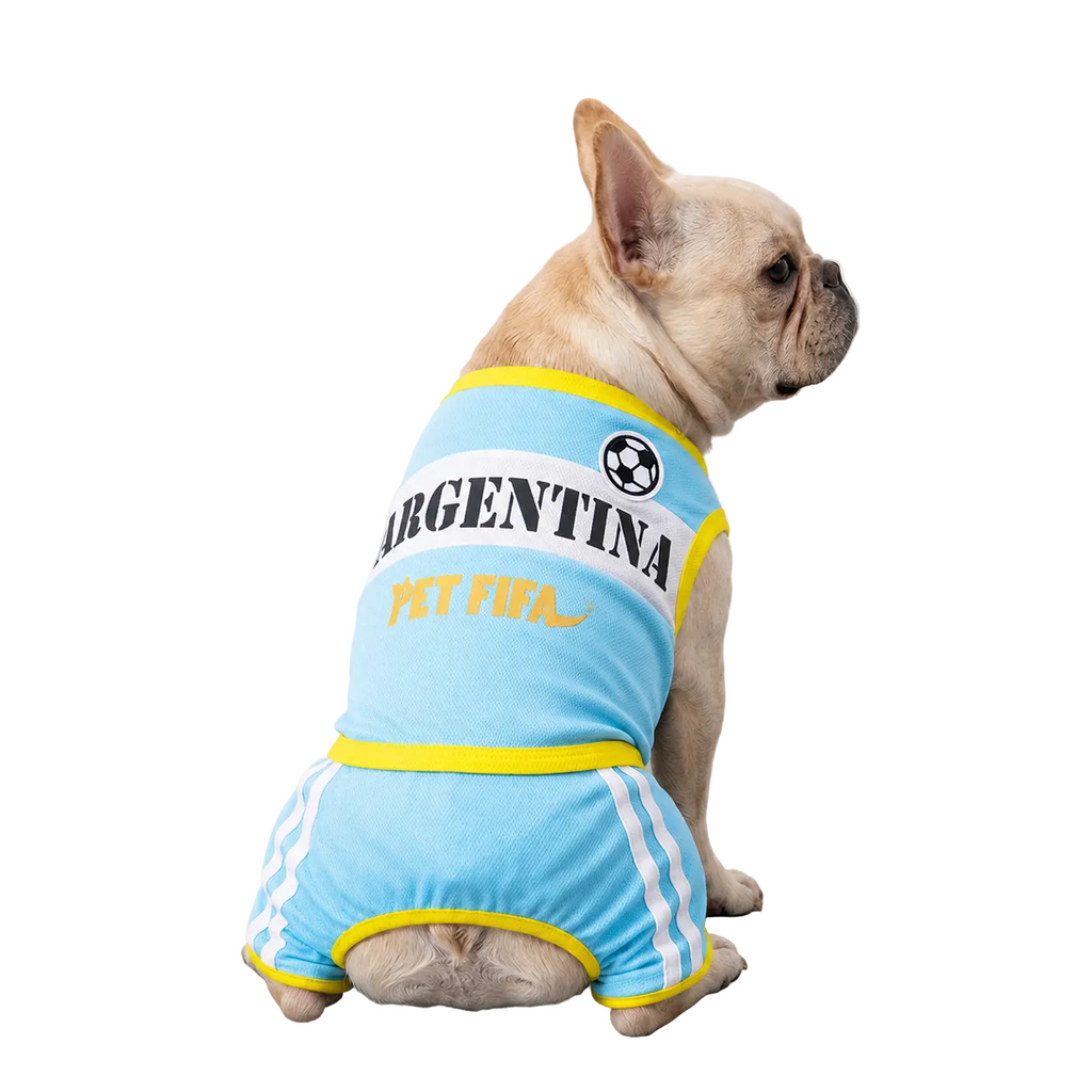 Argentina Outfit