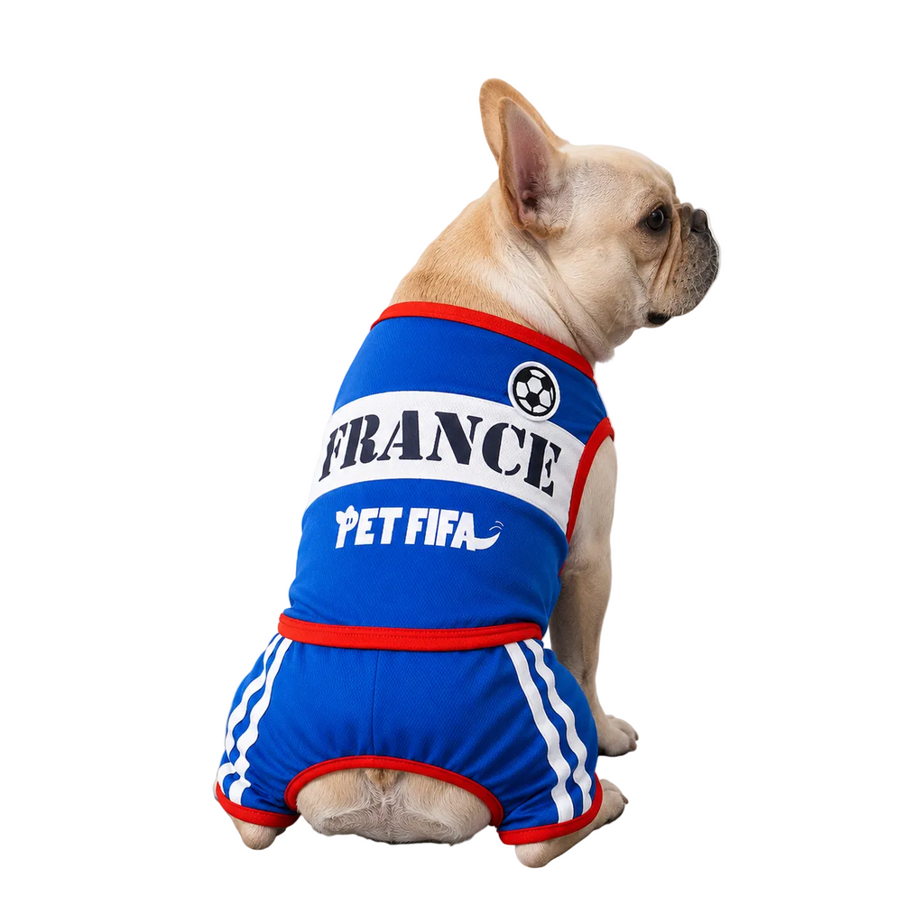 France Outfit